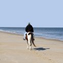 Sauntering Away